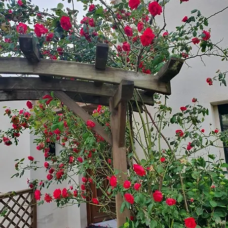 Holiday home Fleur De Lys Au Puy Du Fou - Stayinvendee *